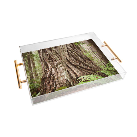 Bree Madden Redwood Trees Acrylic Tray