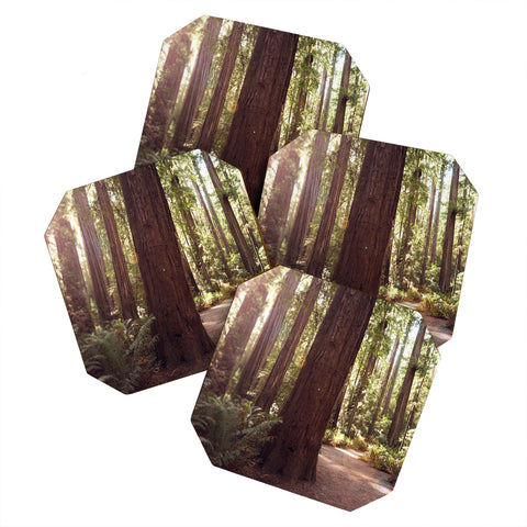 Bree Madden Redwoods Coaster Set