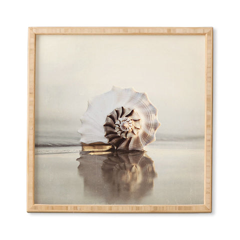 Bree Madden Seashell Framed Wall Art