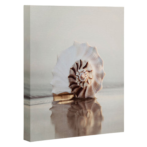 Bree Madden Seashell Art Canvas