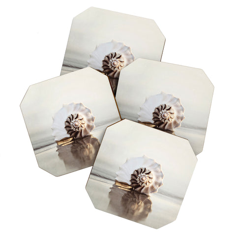 Bree Madden Seashell Coaster Set