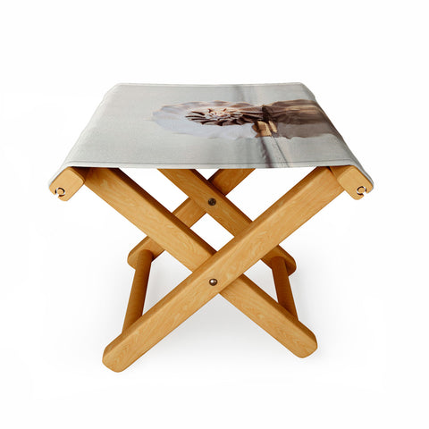 Bree Madden Seashell Folding Stool
