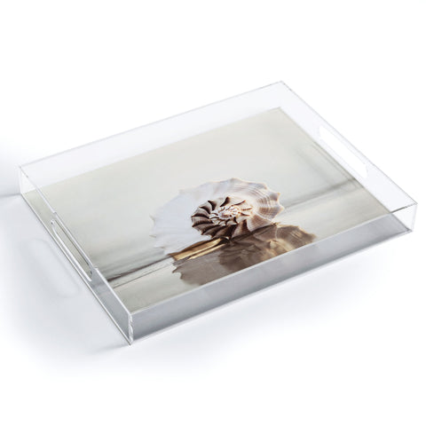 Bree Madden Seashell Acrylic Tray