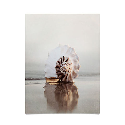 Bree Madden Seashell Poster