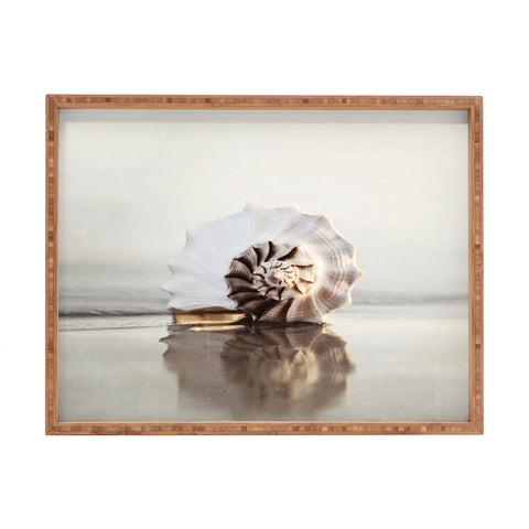 Bree Madden Seashell Rectangular Tray