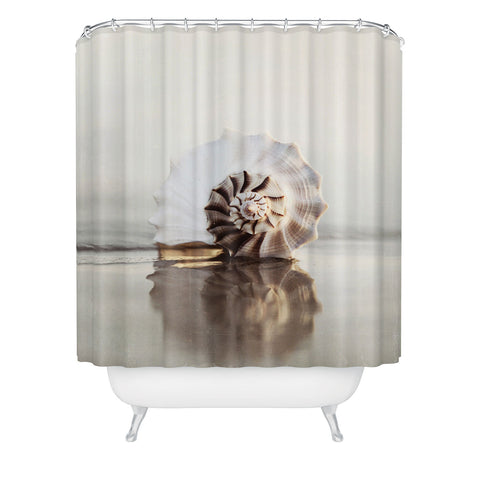 Bree Madden Seashell Shower Curtain