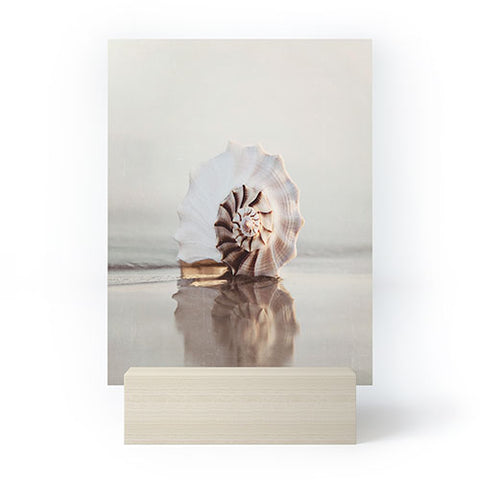 Bree Madden Seashell Mini Art Print