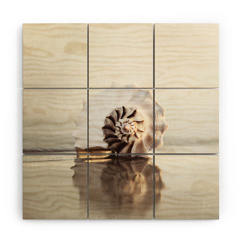Bree Madden Seashell Wood Wall Mural