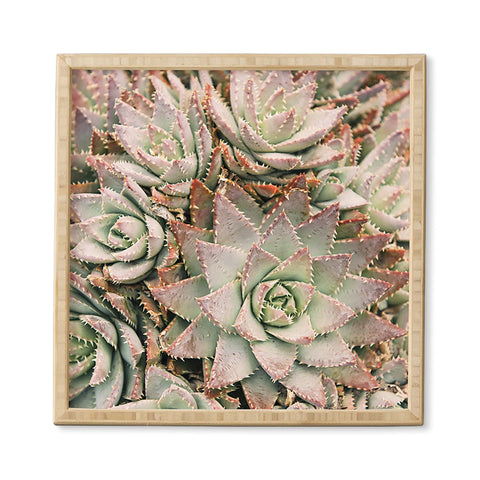 Bree Madden Succulent Framed Wall Art