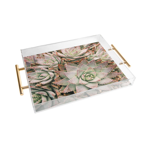 Bree Madden Succulent Acrylic Tray