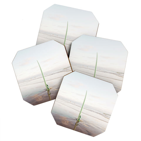 Bree Madden Surf Dayz Coaster Set