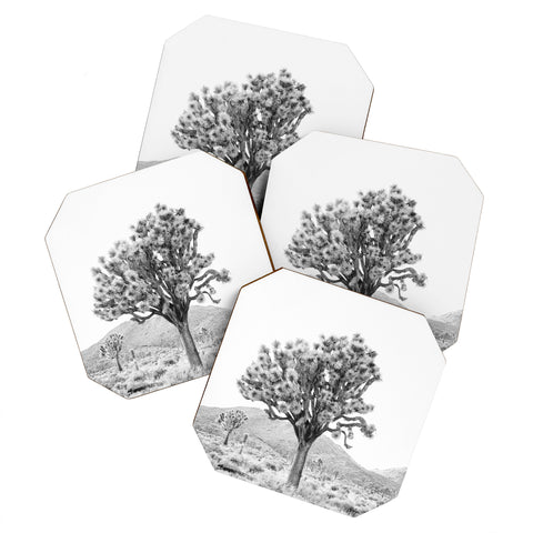 Bree Madden The Desert Coaster Set