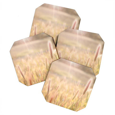 Bree Madden Wheat Fields Coaster Set