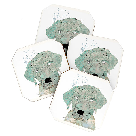 Brian Buckley Labrador Graffiti Coaster Set