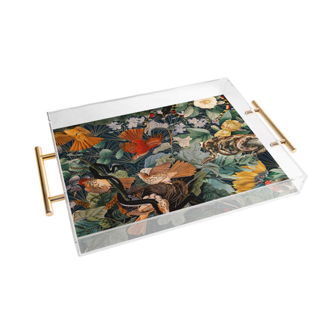 Burcu Korkmazyurek Birds and Snakes Acrylic Tray