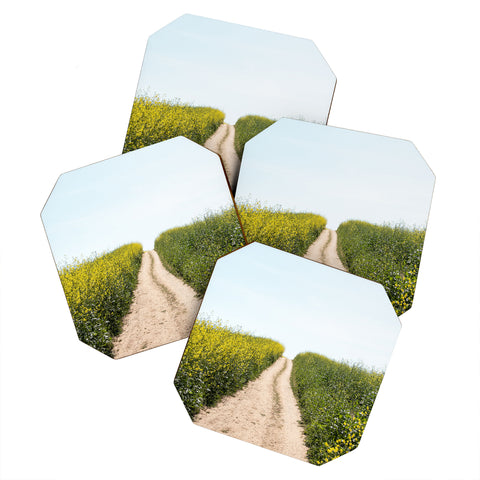 By Brije Black Mustard Flower Field Coaster Set