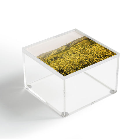 By Brije Spring is Here Yellow Wildflowers Acrylic Box