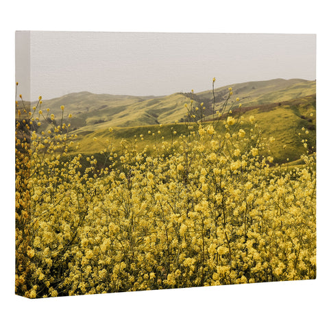 By Brije Spring is Here Yellow Wildflowers Art Canvas