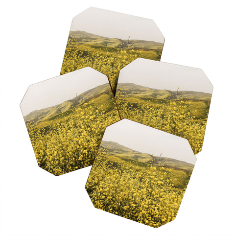 By Brije Spring is Here Yellow Wildflowers Coaster Set