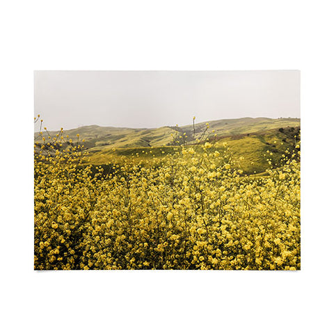 By Brije Spring is Here Yellow Wildflowers Poster