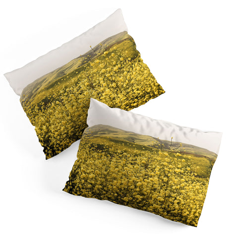 By Brije Spring is Here Yellow Wildflowers Pillow Shams