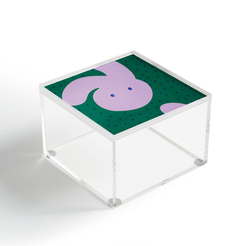 Camilla Foss Pebbles and Rabbit Acrylic Box