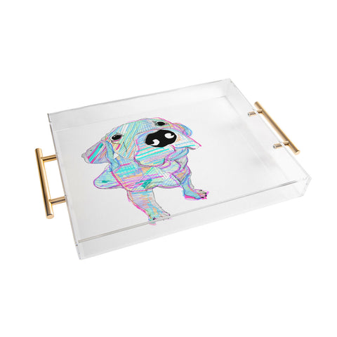 Casey Rogers MultiLab Acrylic Tray