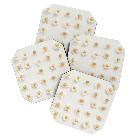 Cassia Beck Daisy Collection Coaster Set