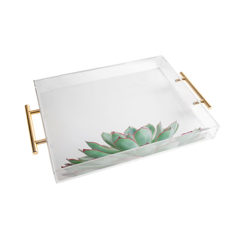 Cassia Beck Echeveria Acrylic Tray