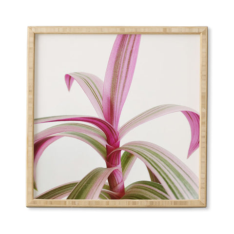 Cassia Beck Moses in the Cradle Framed Wall Art
