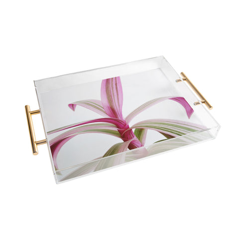 Cassia Beck Moses in the Cradle Acrylic Tray