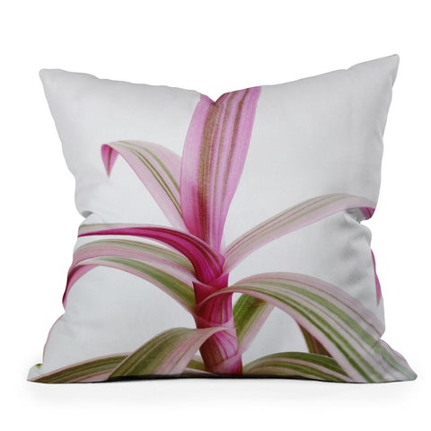 Cassia Beck Moses in the Cradle Outdoor Throw Pillow