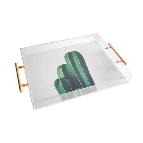 Cassia Beck Organ Pipe Cactus Acrylic Tray