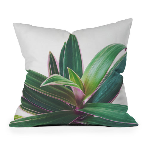 Cassia Beck Oyster Plant Outdoor Throw Pillow