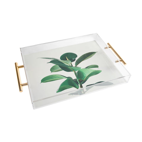 Cassia Beck Rubber Fig Acrylic Tray