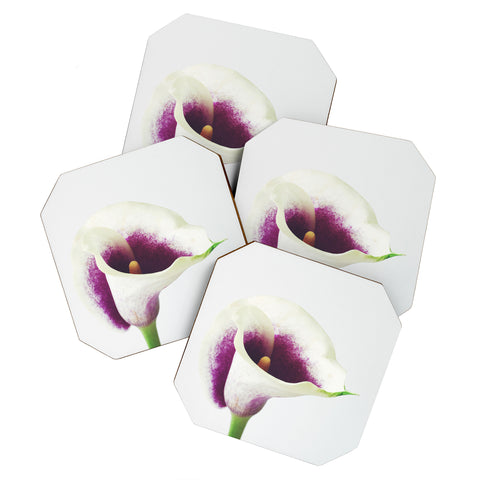 Cassia Beck The Calla Lily Coaster Set