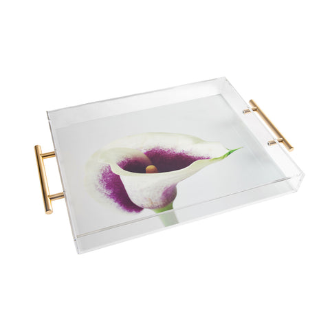 Cassia Beck The Calla Lily Acrylic Tray