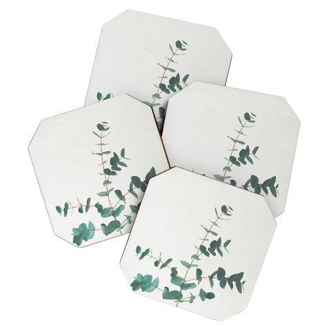 Cassia Beck The Eucalyptus Coaster Set