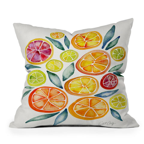 Cat Coquillette Citrus Slices Outdoor Throw Pillow