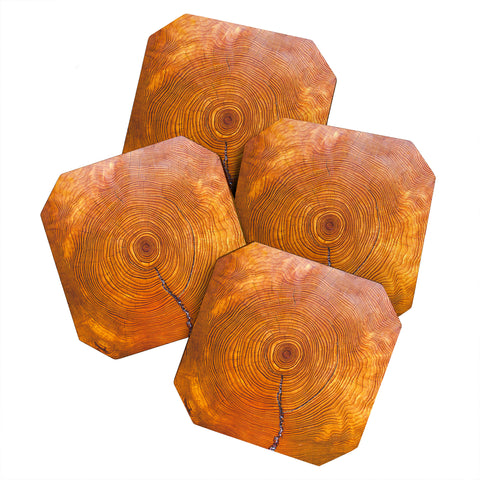 Catherine McDonald A Thousand Years Coaster Set