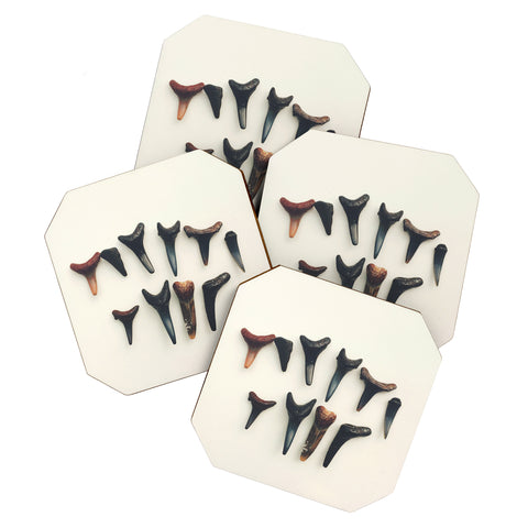Catherine McDonald Amelia Island Shark Teeth Coaster Set