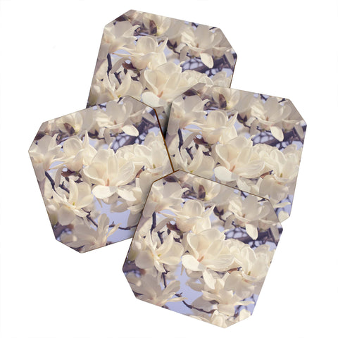 Catherine McDonald Asian Magnolias Coaster Set