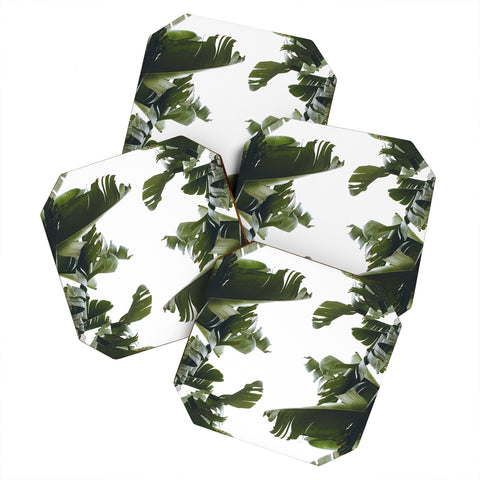 Catherine McDonald BIRDS OF CALIFORNIA Coaster Set