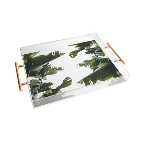 Catherine McDonald BIRDS OF CALIFORNIA Acrylic Tray