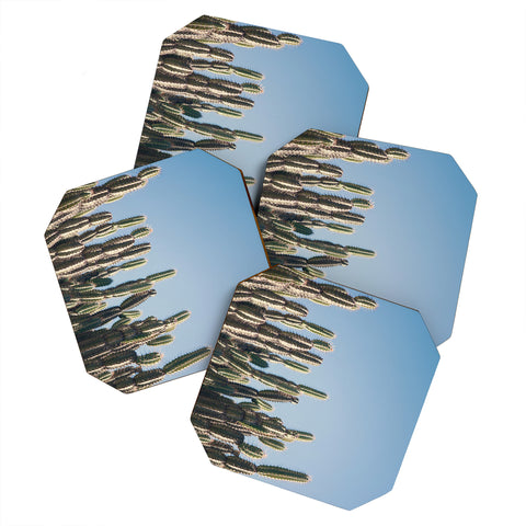 Catherine McDonald Cactus Perspective Coaster Set
