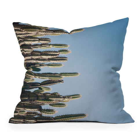 Catherine McDonald Cactus Perspective Horizontal Outdoor Throw Pillow