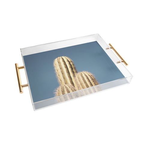 Catherine McDonald Cactus Trio Acrylic Tray