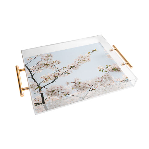 Catherine McDonald Cherry Blossoms In Seoul Acrylic Tray