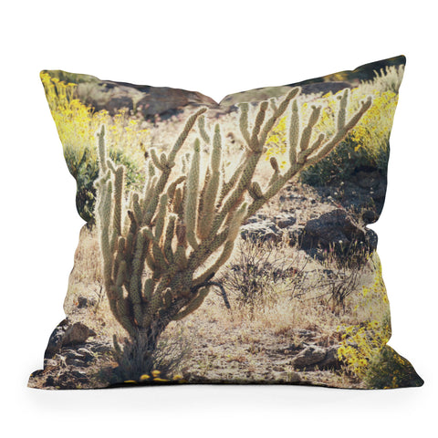 Catherine McDonald Desert Superbloom Outdoor Throw Pillow