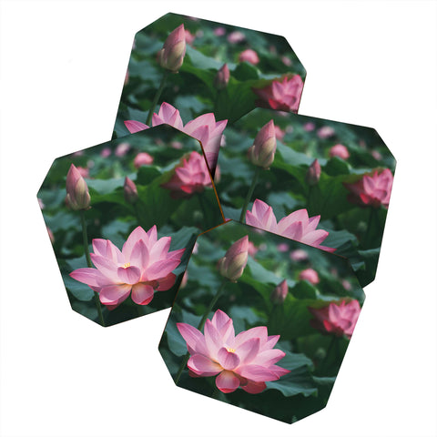 Catherine McDonald Lotus Field Coaster Set